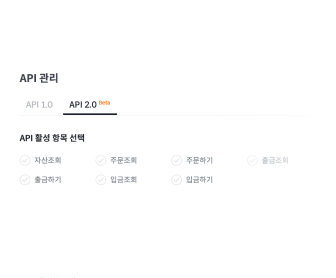 API 활성 항목