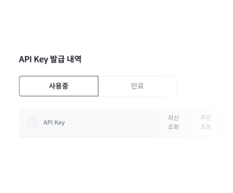 API Key 내역
